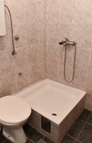 Hostel Milkaza
