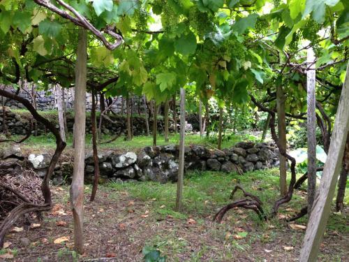 Hostal Holidays Madeira
