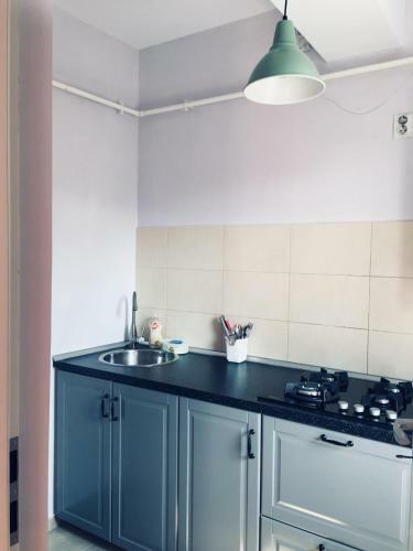 Apartamento Central Studio Vitan Mall