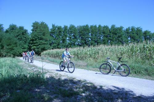 Villa Camping Aquileia