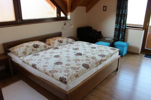 Hostal Penzion �smev