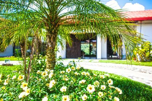 Hotel Hacienda Buenavista