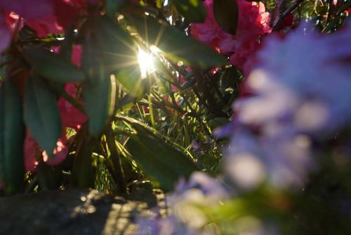 H�land Gaardsmotel