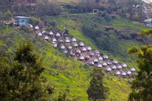 Hotel The Waterfall Resort. St Clairs, Talawakele