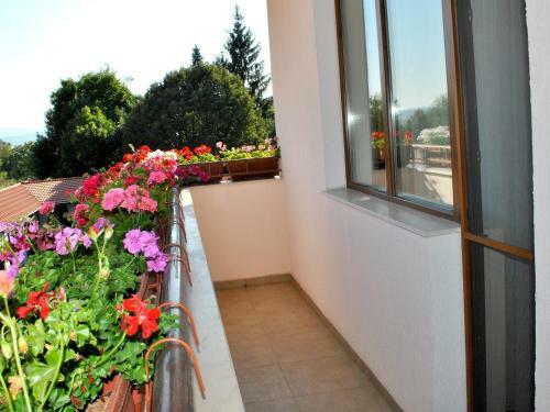 Spa Hotel Ivelia