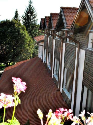 Spa Hotel Ivelia