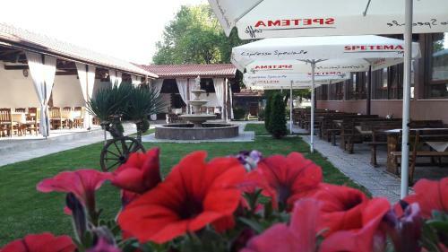 Spa Hotel Ivelia