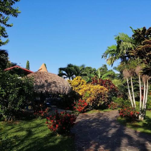 Bed & Breakfast Cabanas Los Colibris