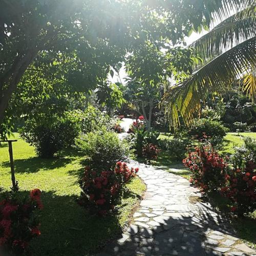 Bed & Breakfast Cabanas Los Colibris