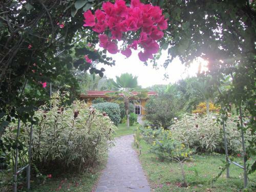 Bed & Breakfast Cabanas Los Colibris
