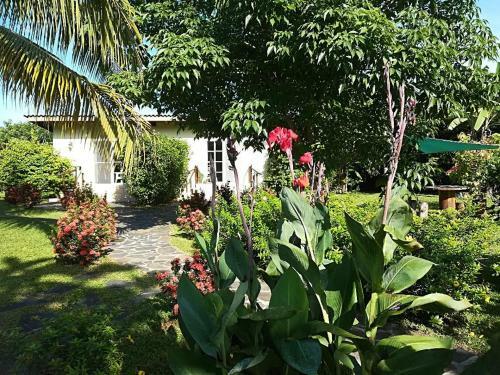 Bed & Breakfast Cabanas Los Colibris