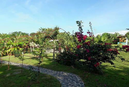 Bed & Breakfast Cabanas Los Colibris
