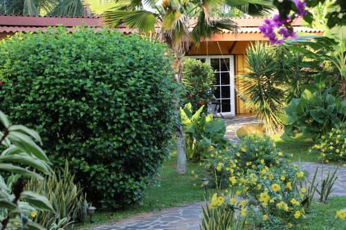 Bed & Breakfast Cabanas Los Colibris
