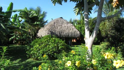 Bed & Breakfast Cabanas Los Colibris