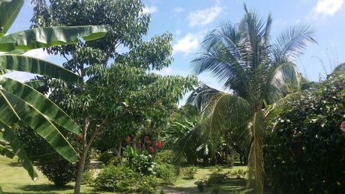 Bed & Breakfast Cabanas Los Colibris