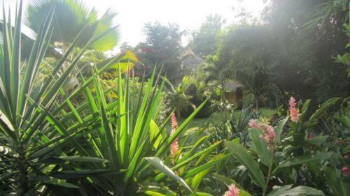 Bed & Breakfast Cabanas Los Colibris