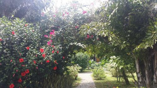 Bed & Breakfast Cabanas Los Colibris