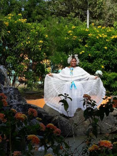 Bed & Breakfast Cabanas Los Colibris