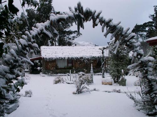 Hostal Little Paradise Lodge