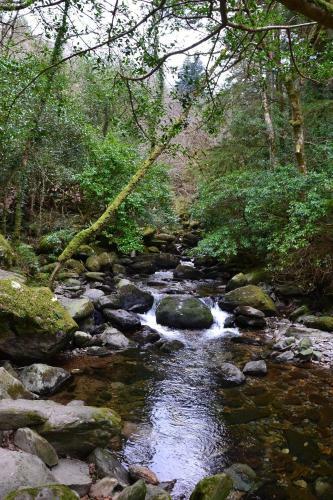 Killarney International Hostel