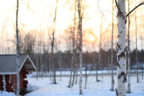 Ivalo River Camping