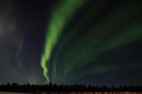 Ivalo River Camping