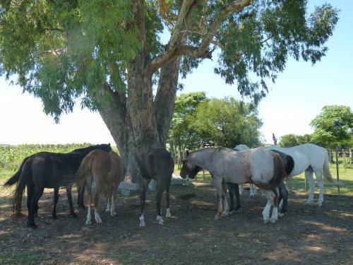 Agroturismo Estancia Hosteria El Ceibo