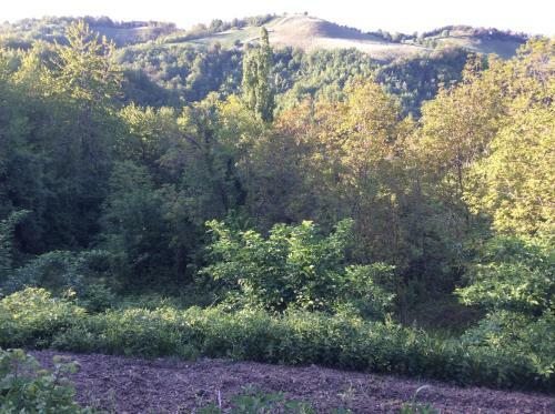 B&B Villa Rossana