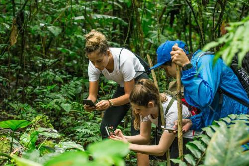 Cotococha Amazon Lodge - Napo River Lodge