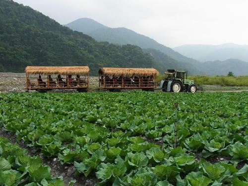 Yingshih Resort