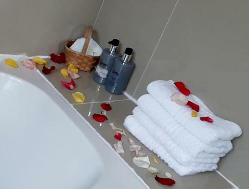 Bhotani B&B