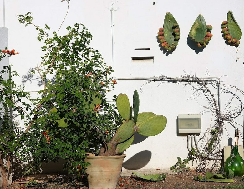Bed & Breakfast Le Tre Sorelle