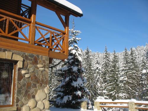 Hotel Karpatska Villa