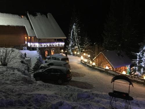 Hotel Karpatska Villa
