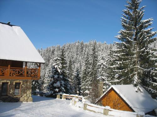 Hotel Karpatska Villa