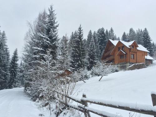 Hotel Karpatska Villa