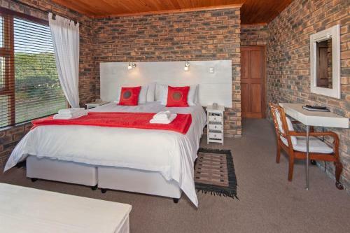 Hostal White Shark Guest House