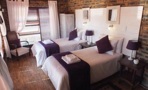 Hostal White Shark Guest House