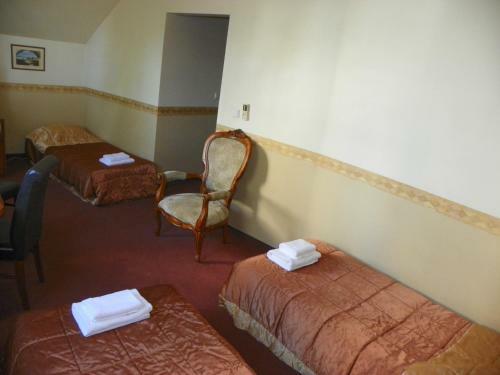 Hostal Guest House Novus Rex