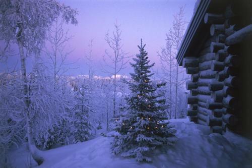 Apartamentos Holiday Club Ruka Cottages