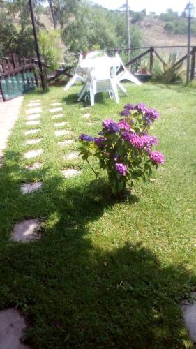 Agroturismo Casa Vacanza La Papuzza Mare E Etna