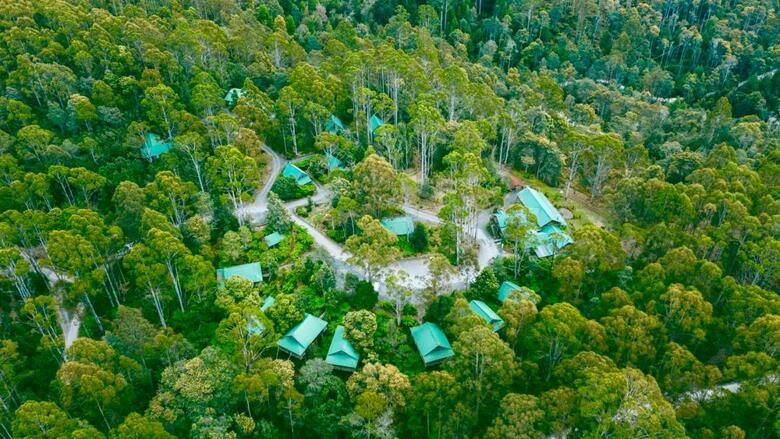 Hotel Lemonthyme Lodge