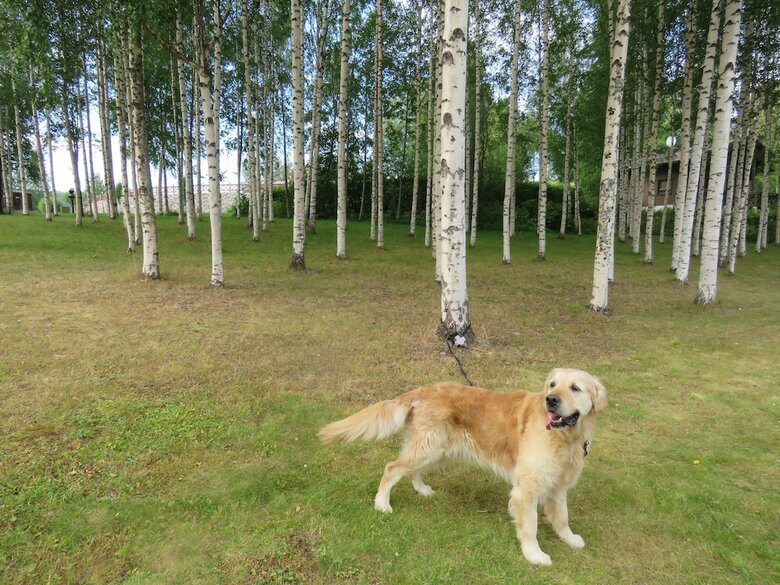 Tahko-tours