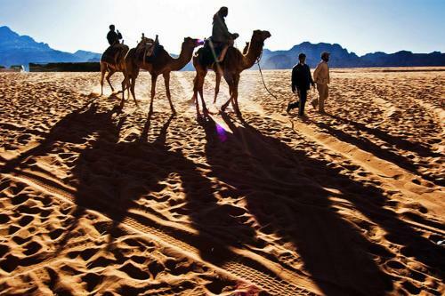 Bedouin Advisor Camp