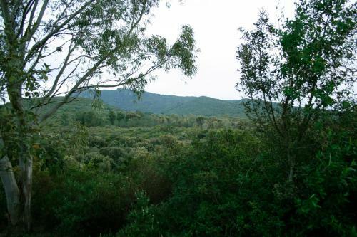 Bed & Breakfast La Balia