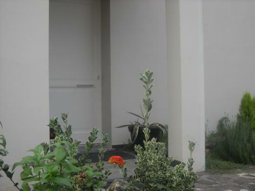 Bed & Breakfast La Balia