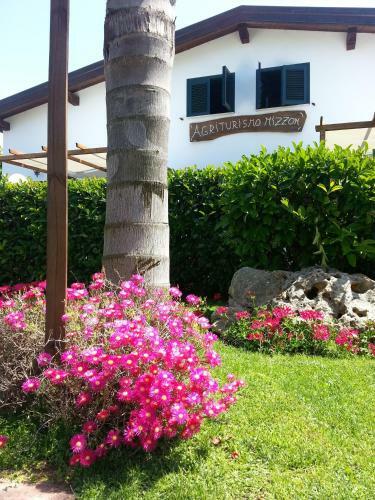 Agroturismo Agriturismo Fratelli Mizzon