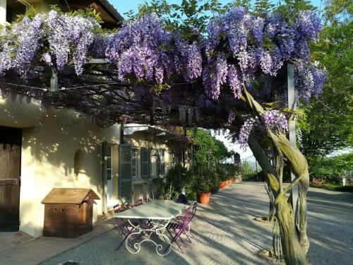 Sotto La Luna Bruna B&B