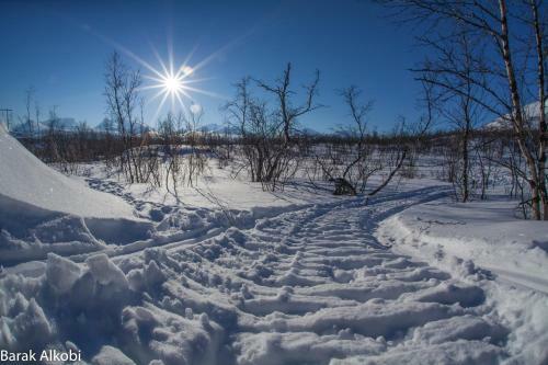 Hostal Abisko Guesthouse