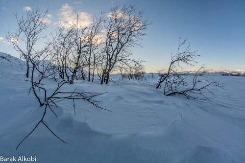 Hostal Abisko Guesthouse